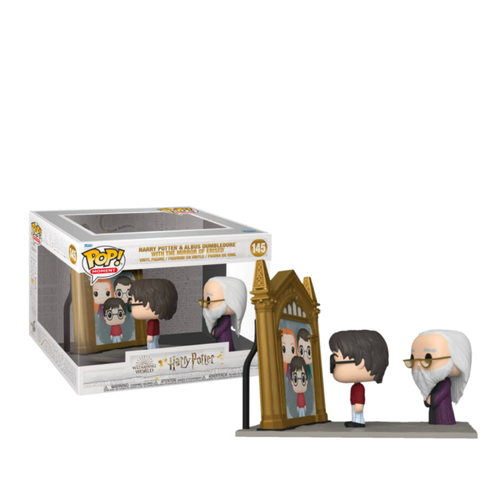 Funko Moment : Harry Potter - Harry Potter and Dumbledore with