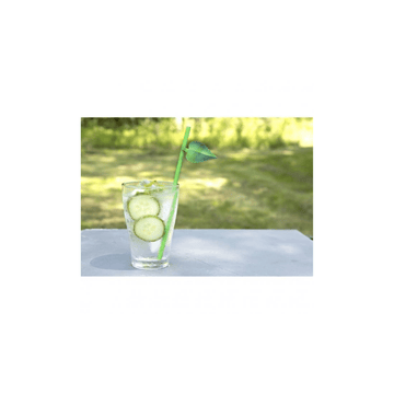 Kikkerland Kitchen & Bar Leaf Paper Straws