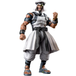 Tamashii Nation Action Figure S.H. Figuarts  Rashid