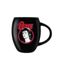 DAVID BOWIE ALADDIN SANE (OVAL MUG) By Pyramid