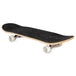 Spartan Outdoor Toys Spartan Reality Expert Skateboard
