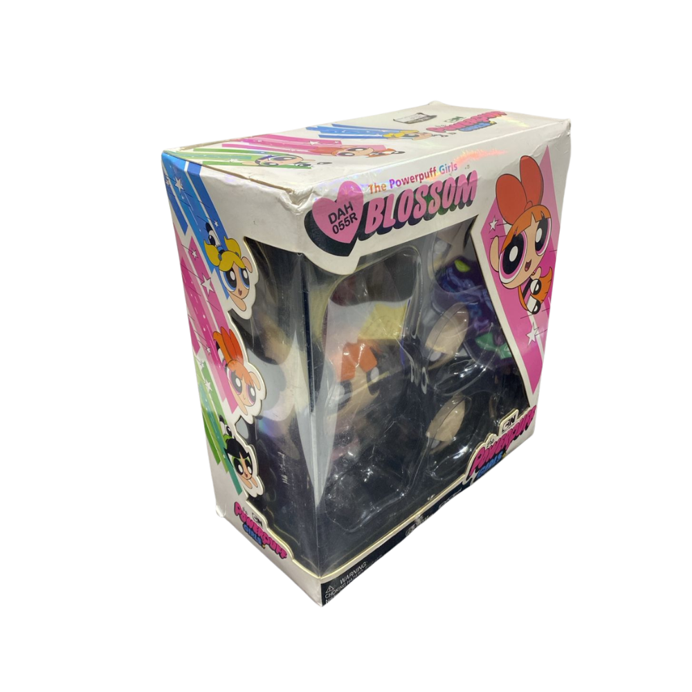 The Powerpuff girl Blossom DAH-055R [DAMAGE BOX] – The Little Things